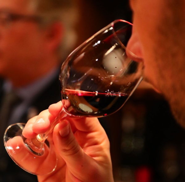 degustacion merced del estero.jpg